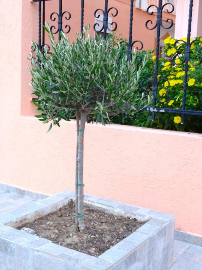 Socrates Apartments Olympiakí Aktí Dış mekan fotoğraf